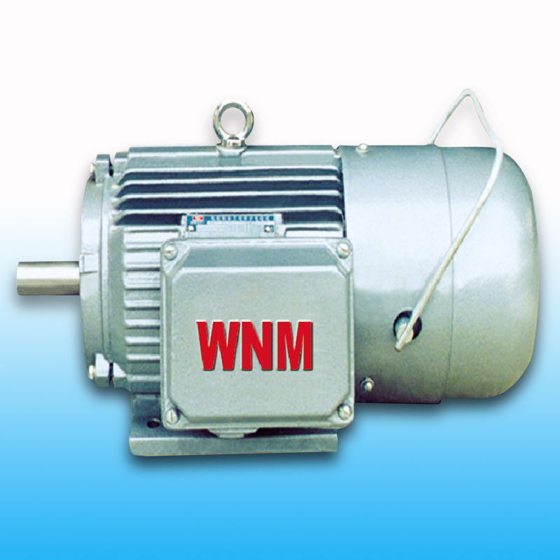 YEJ2系列電磁制動電機(jī)