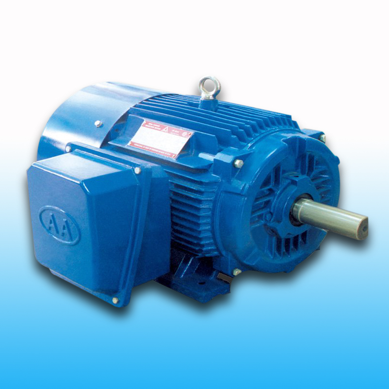 NE系列高效高轉矩電機