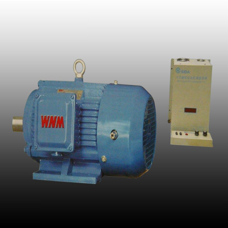 SRM系列開關磁阻調速電機